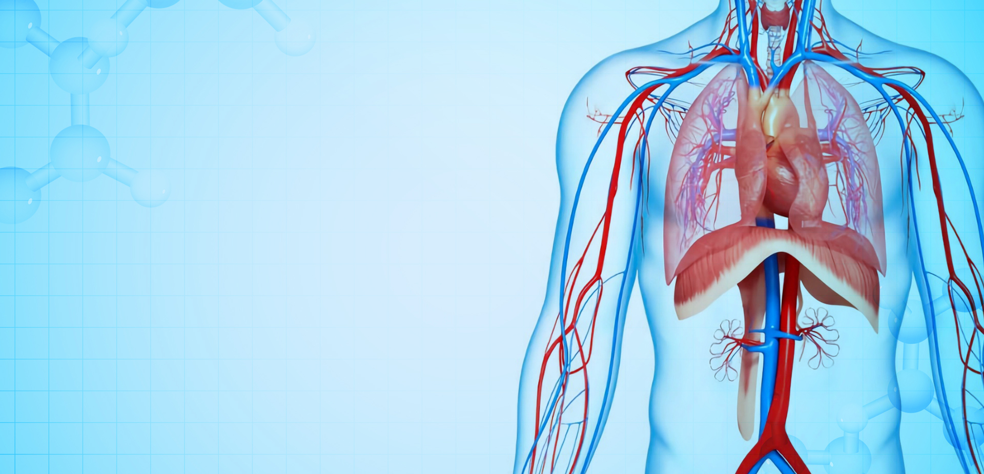 寧波リンスタントポリマーマテリアルズ株式会社株式会社