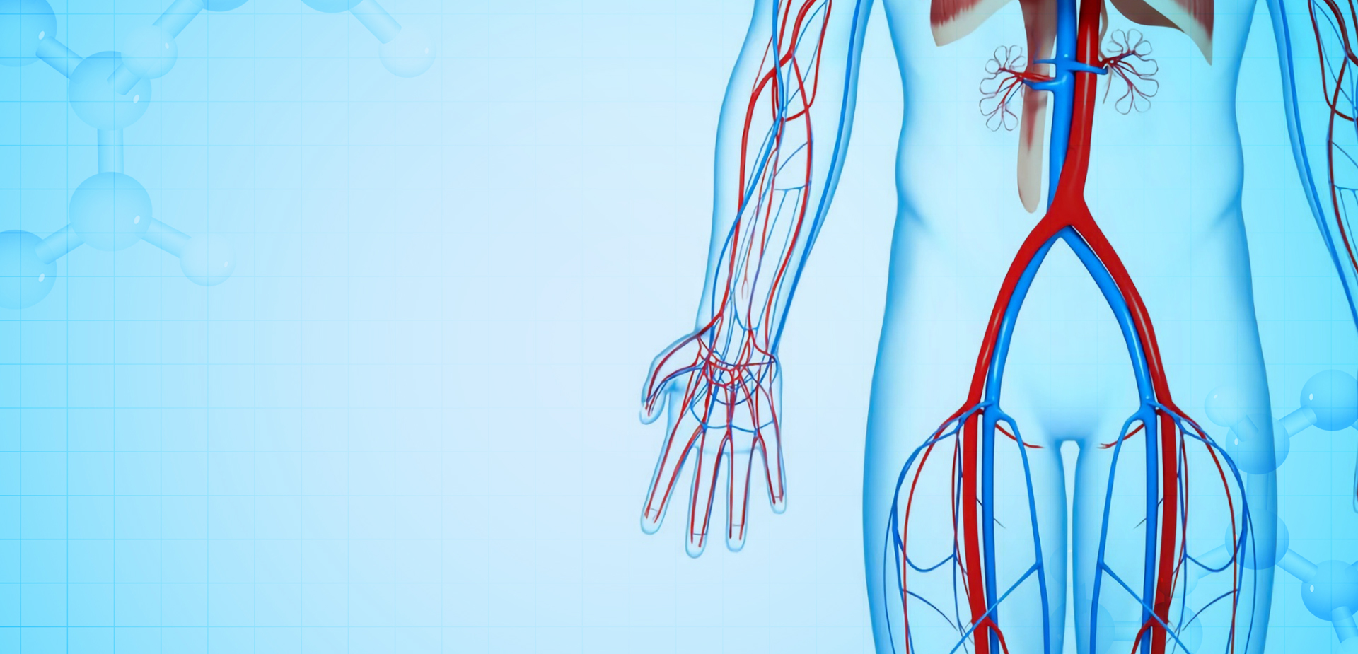 寧波リンスタントポリマーマテリアルズ株式会社株式会社