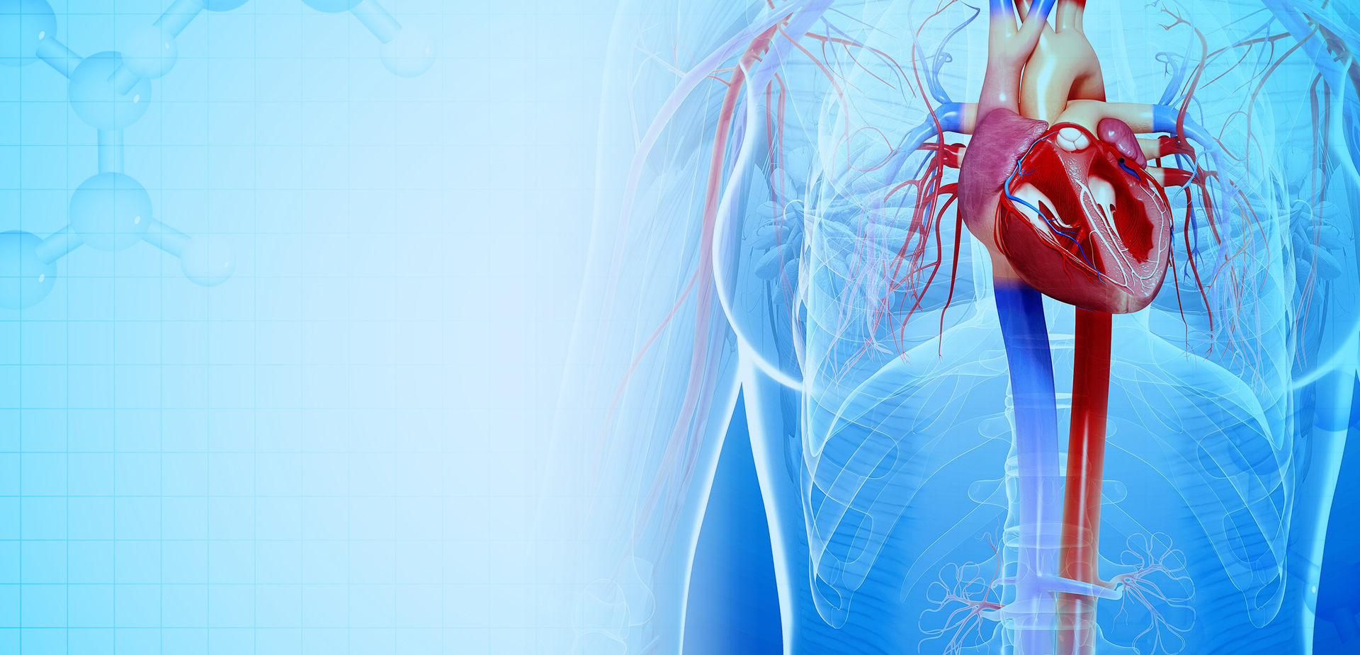 寧波リンスタントポリマーマテリアルズ株式会社株式会社