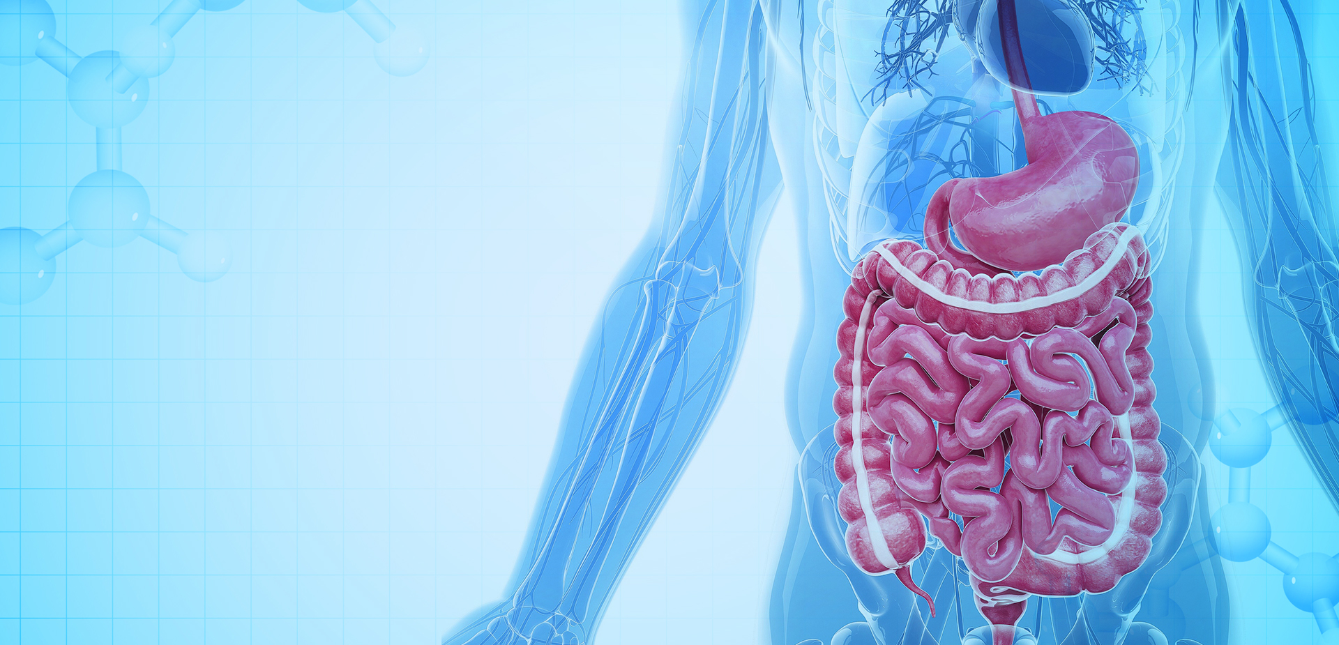 寧波リンスタントポリマーマテリアルズ株式会社株式会社