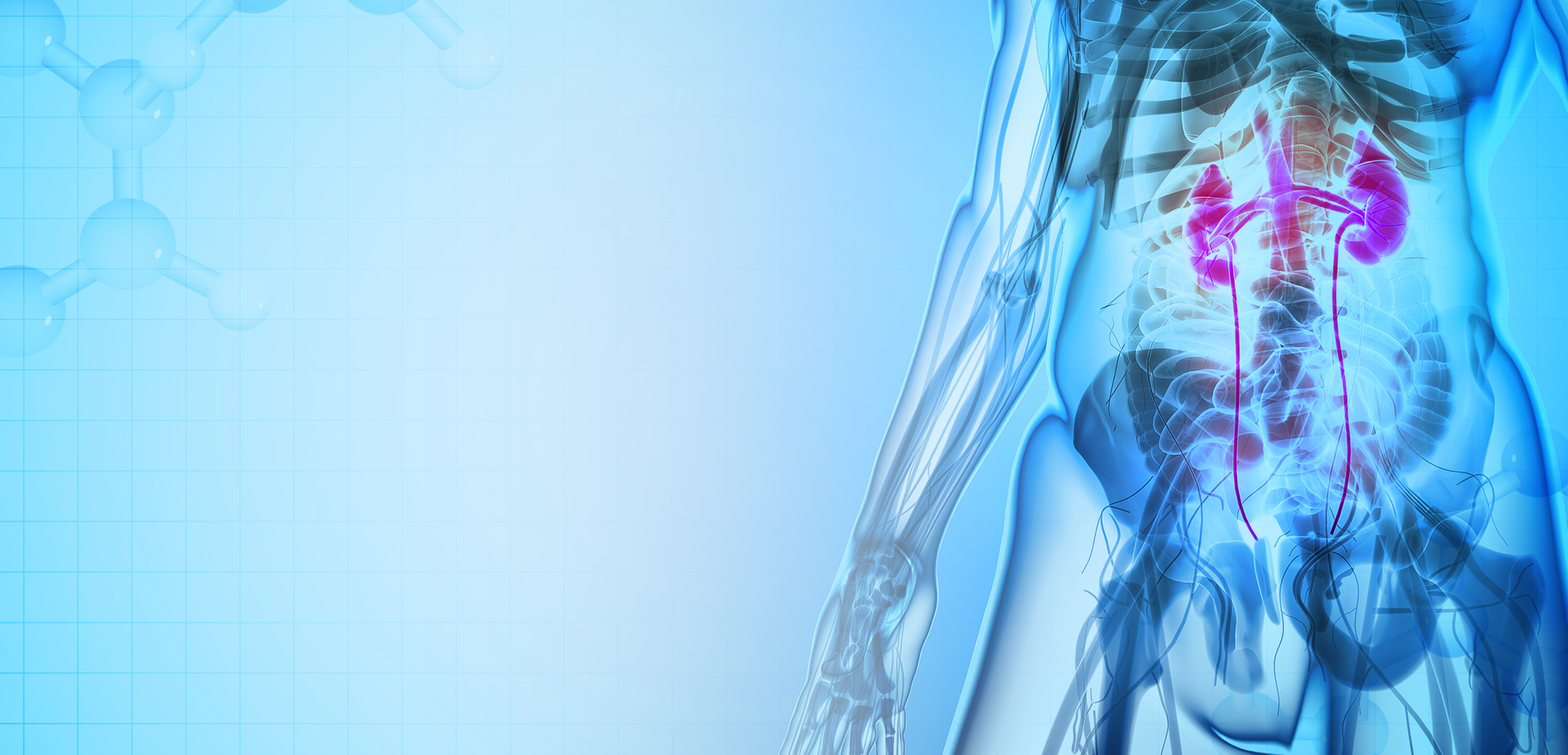 寧波リンスタントポリマーマテリアルズ株式会社株式会社